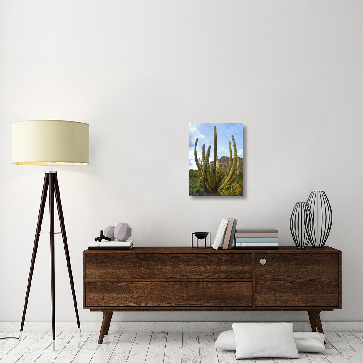 Organ Pipe Cactus Arizona-Canvas Art-18&quotx24"