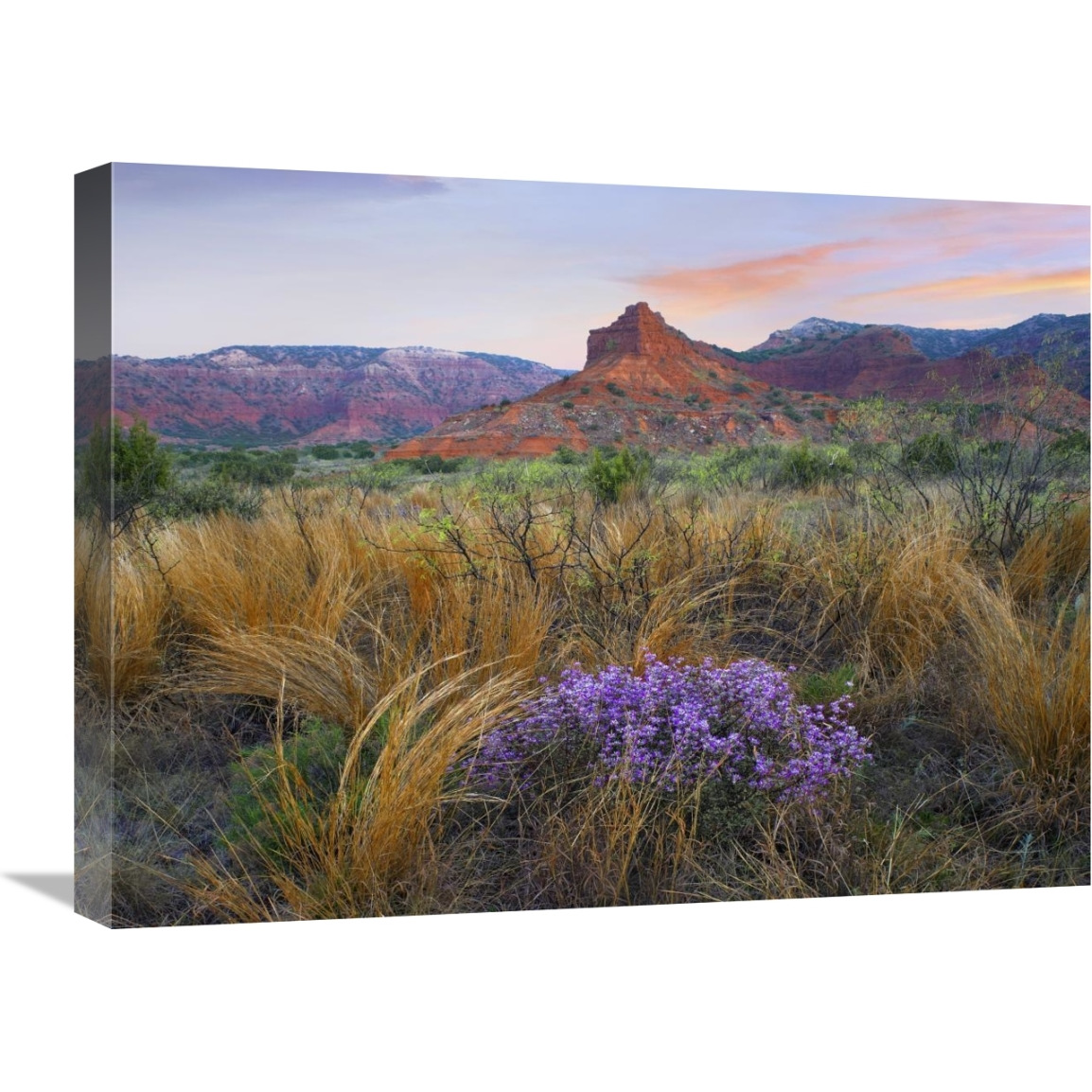 Caprock Canyons State Park, Texas-Canvas Art-24&quotx18"