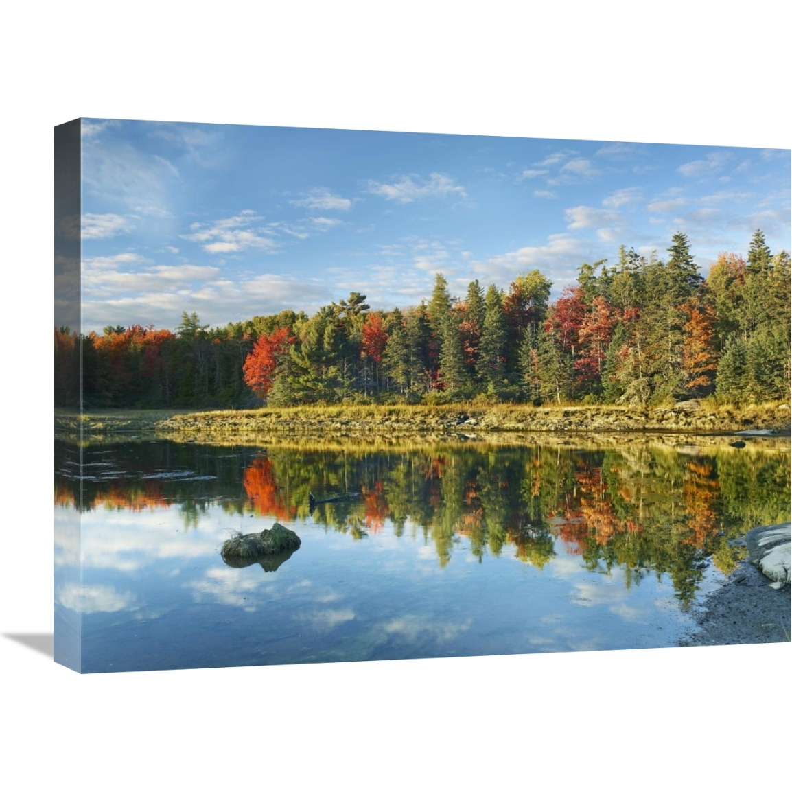 Coastline, Mount Desert Island, Maine-Canvas Art-24&quotx18"