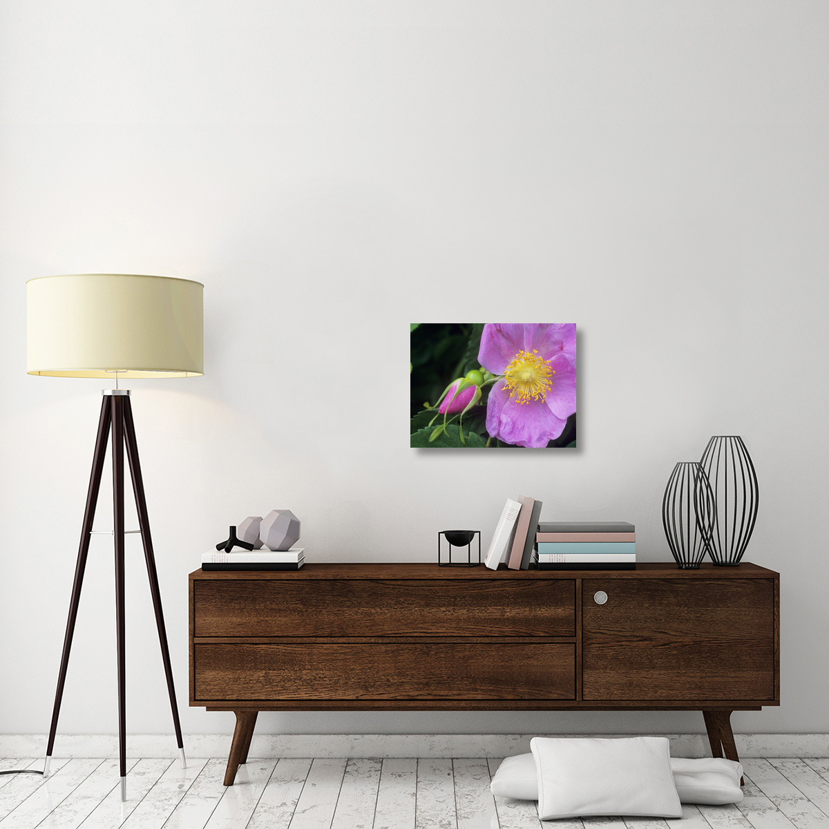Rose flower, British Columbia, Canada-Canvas Art-24&quotx18"