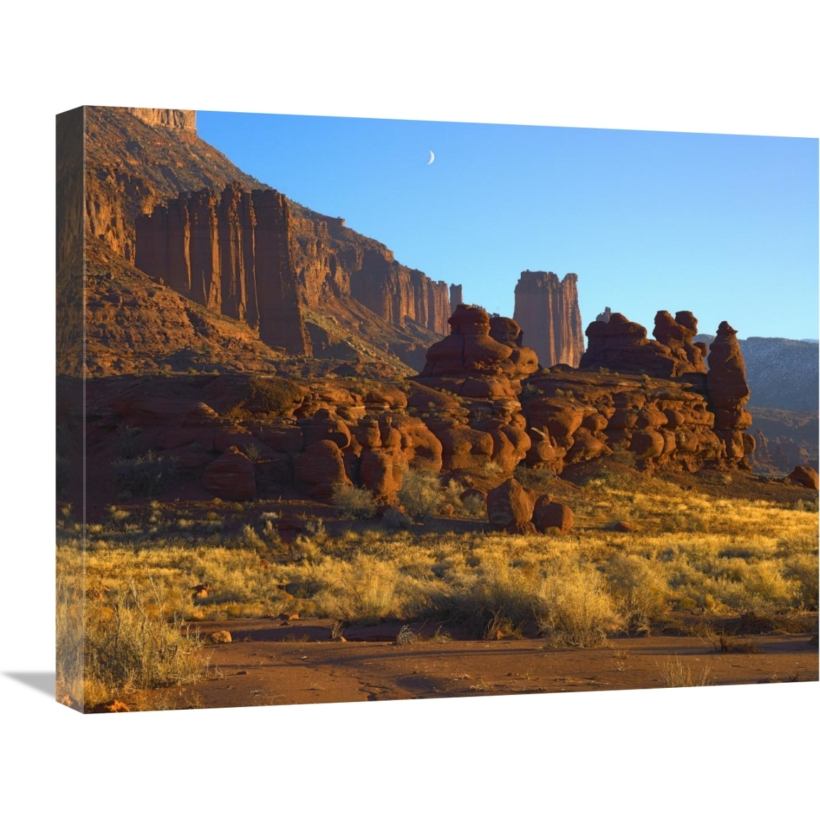 Fisher Towers at Professor Valley, Utah-Canvas Art-24&quotx20"