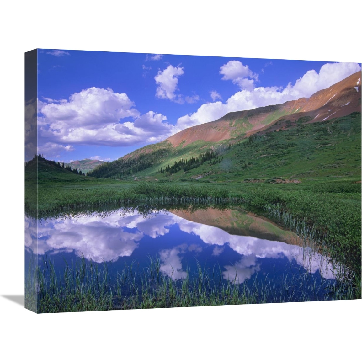 Mount Baldy and Elk Mountains, Colorado-Canvas Art-24&quotx18"
