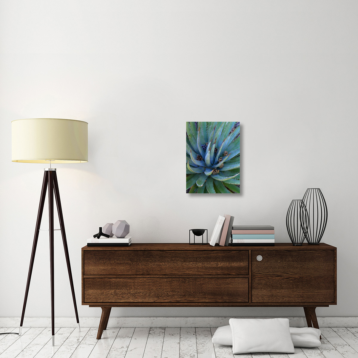 Agave plants with pine cones, North America-Canvas Art-18&quotx24"