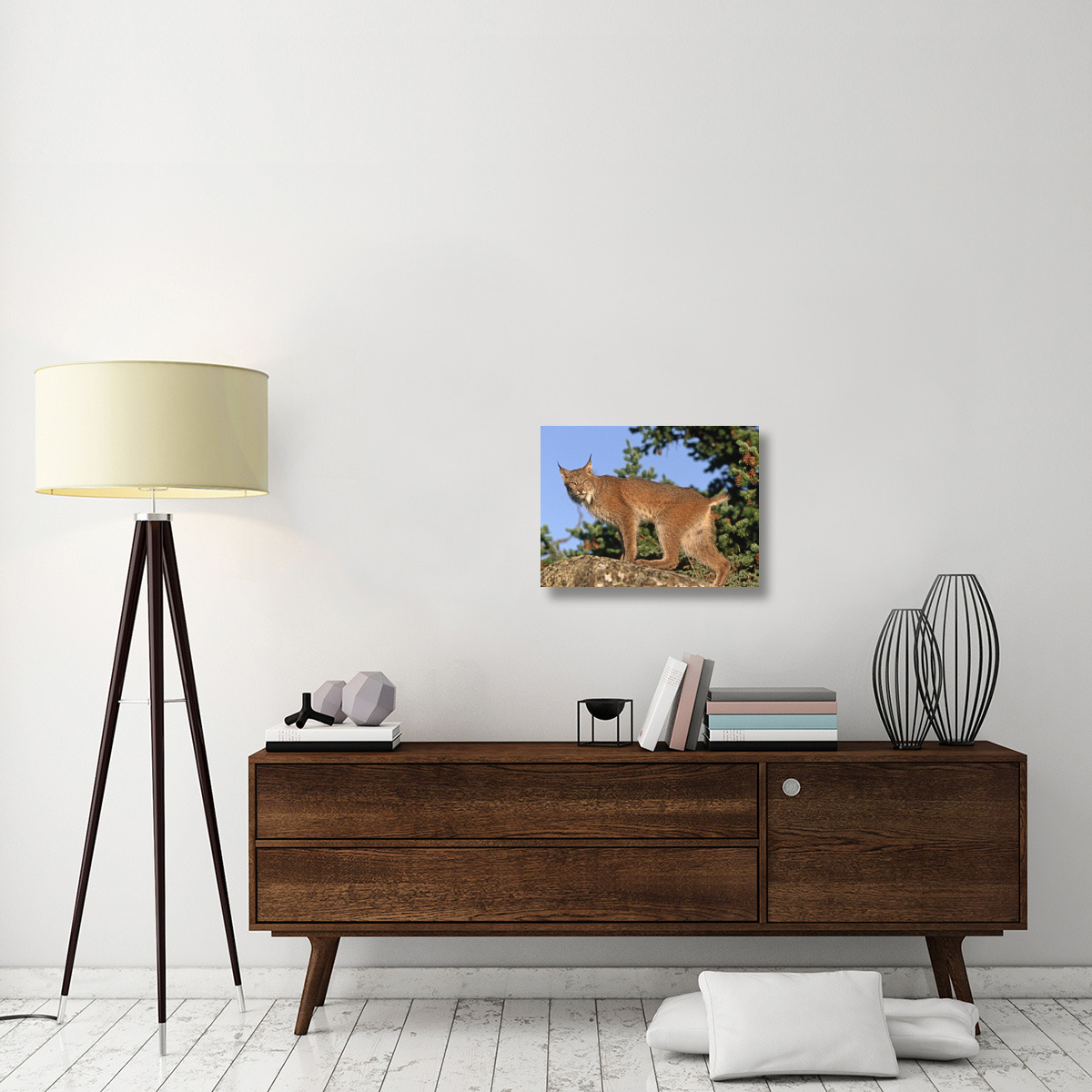Canada Lynx climbing on rock, North America-Canvas Art-24&quotx18"