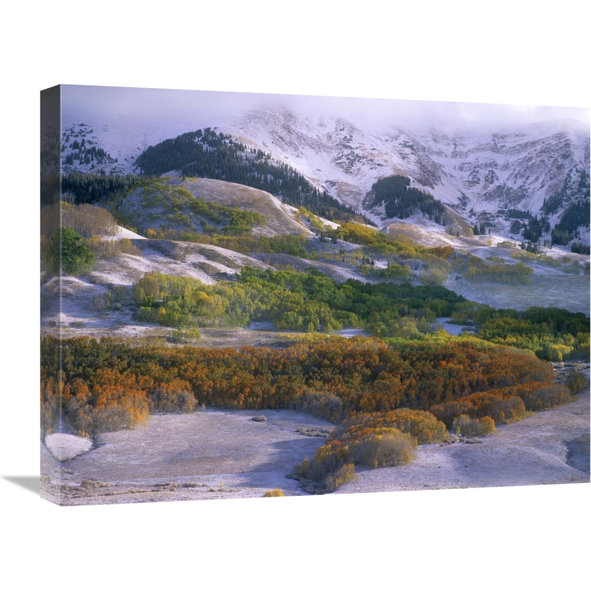 Elk Mountains with dusting of snow, Colorado-Canvas Art-24&quotx18"