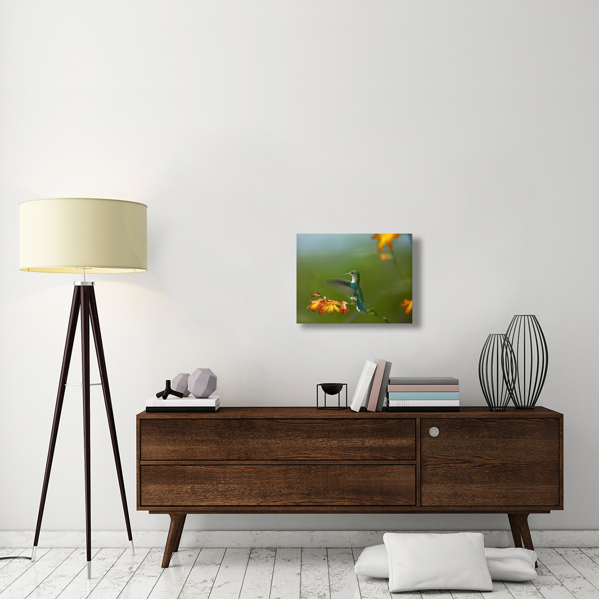 Green-crowned Woodnymph female landing, Ecuador-Canvas Art-24&quotx18"