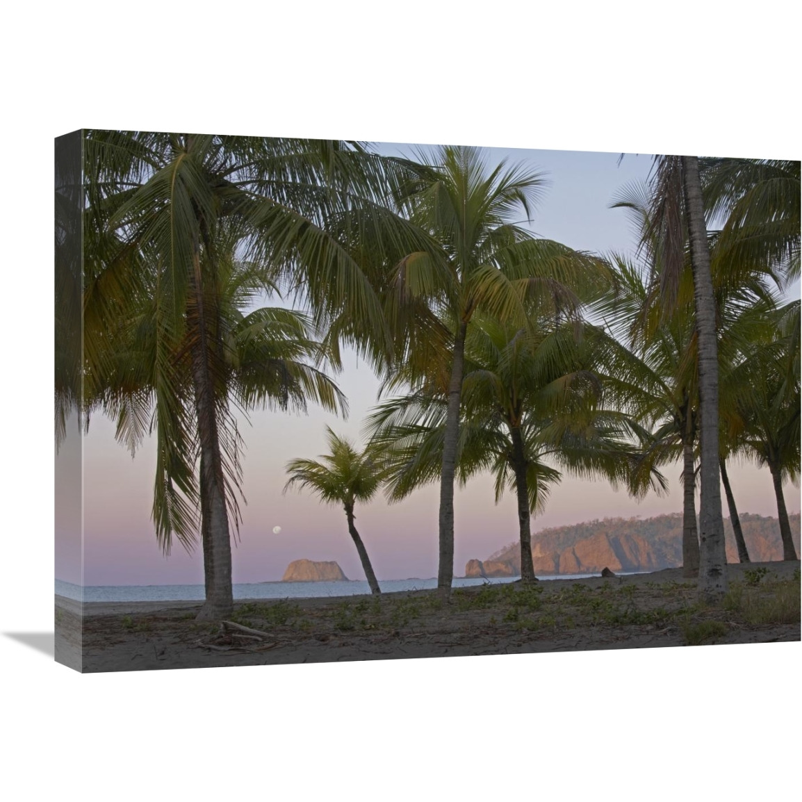 Moon setting, Playa Carillo, Guanacaste, Costa Rica-Canvas Art-24&quotx18"