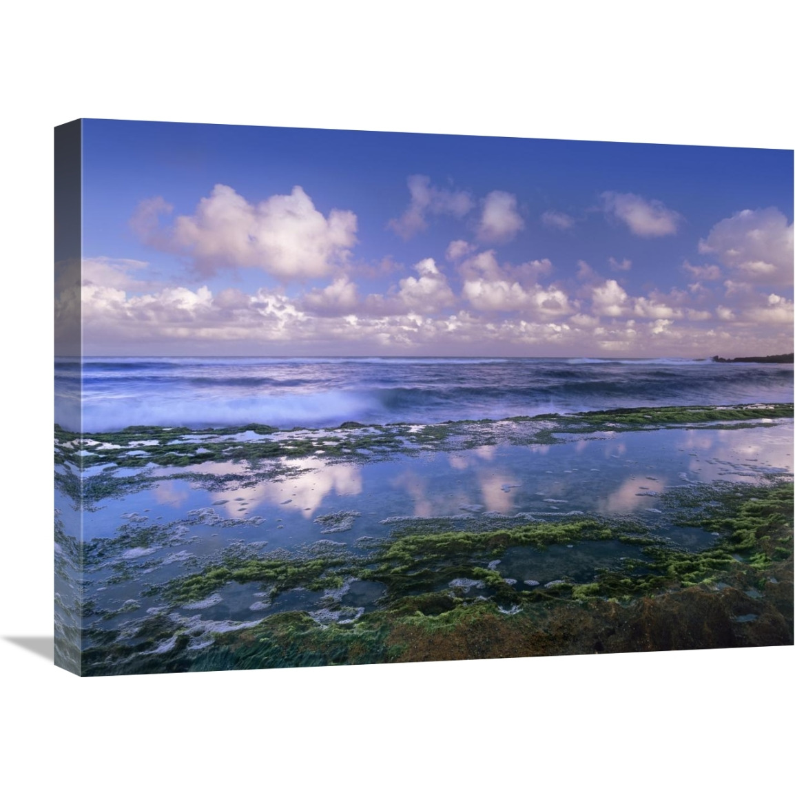 Tidepools and waves at Ho&quotokipa Beach, Maui, Hawaii-Canvas Art-24&quotx18"