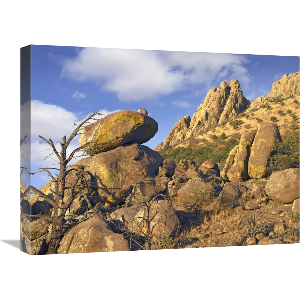 Rockpile, Davis Mountains, Chihuahuan Desert, Texas-Canvas Art-24&quotx18"