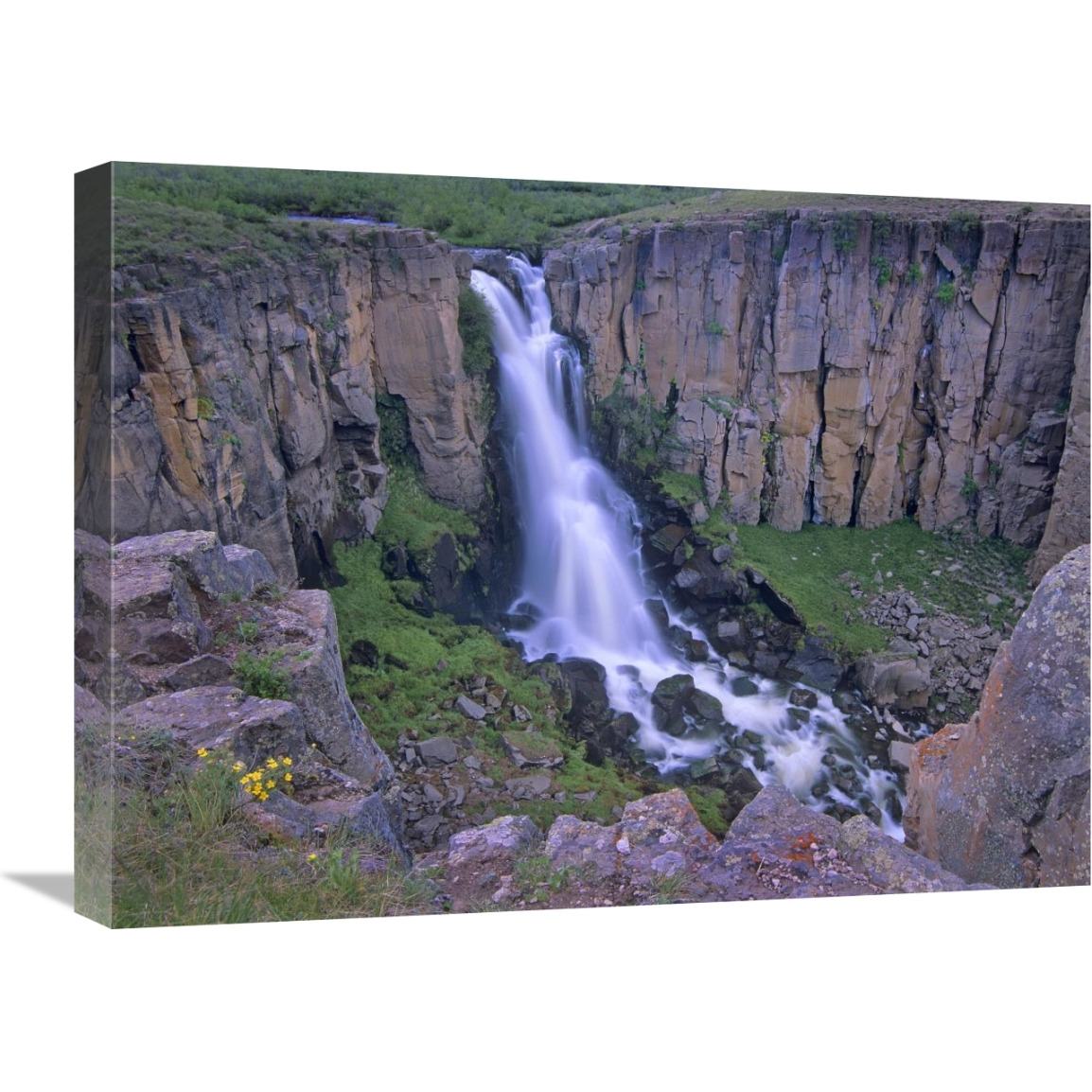 North Clear Creek Falls cascading down cliff, Colorado-Canvas Art-24&quotx18"