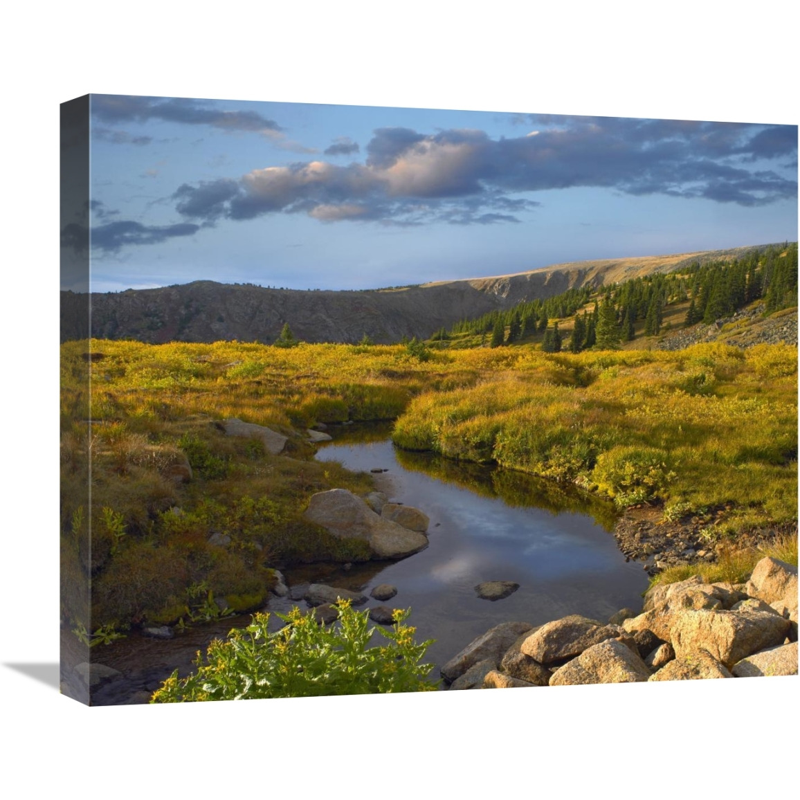 Alpine stream, Rollins Pass near Winter Park, Colorado-Canvas Art-22&quotx18.26"