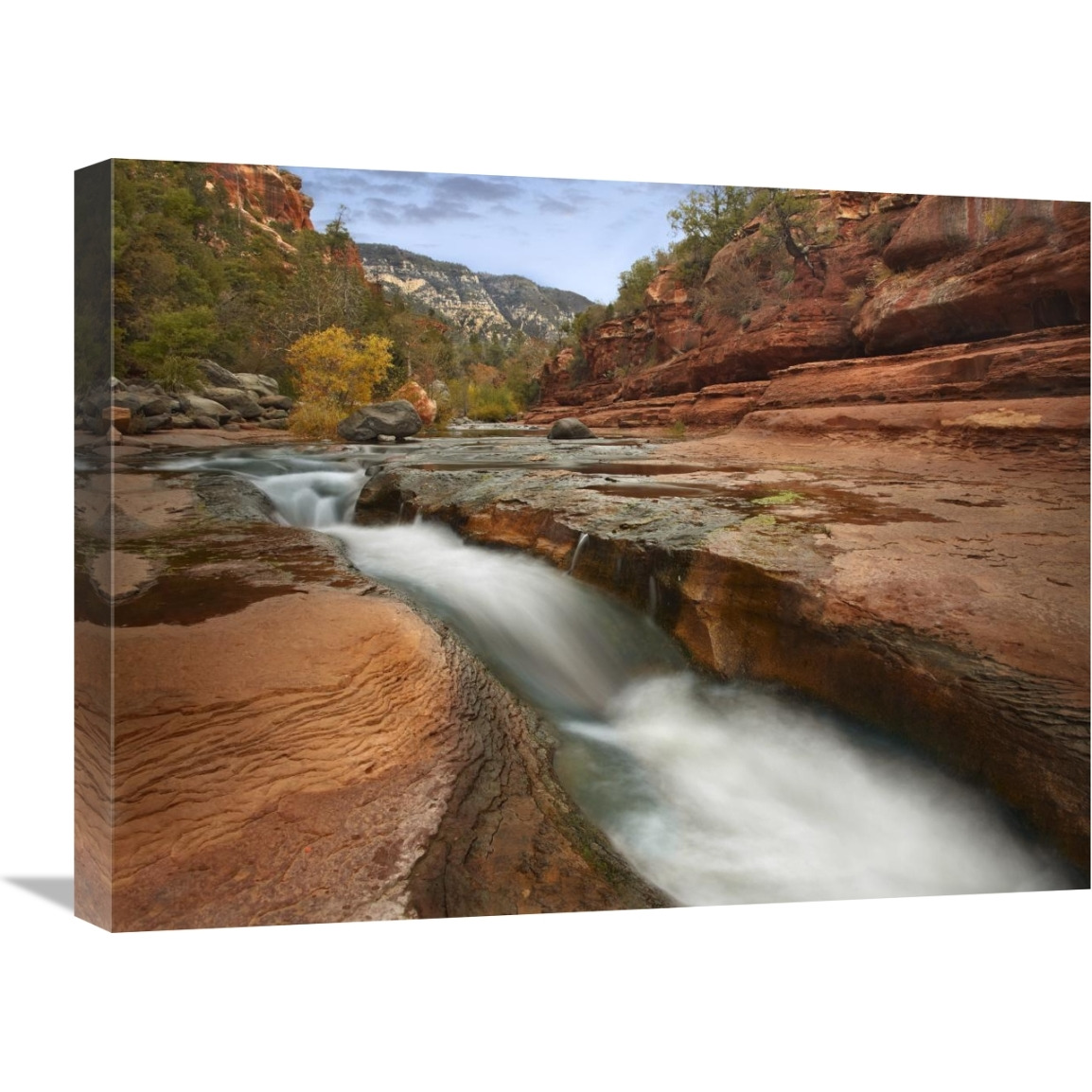 Oak Creek in Slide Rock State Park near Sedona, Arizona-Canvas Art-24&quotx18"