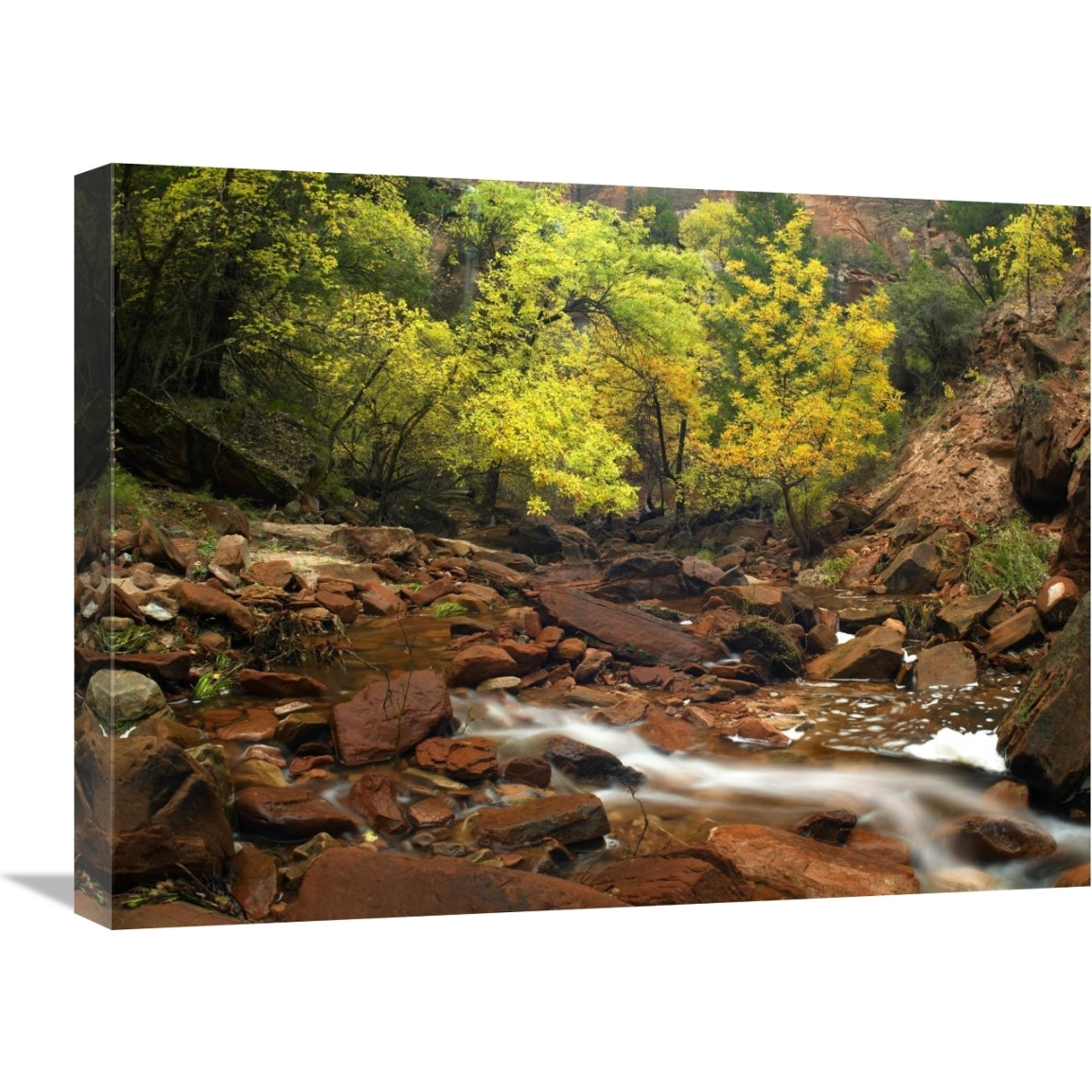 Zion Canyon near Emerald Pools, Zion National Park, Utah-Canvas Art-24&quotx18"