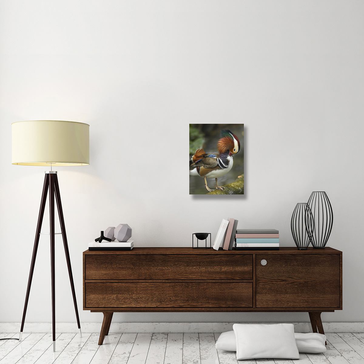 Mandarin Duck male preening, Jurong Bird Park, Singapore-Canvas Art-18&quotx24"
