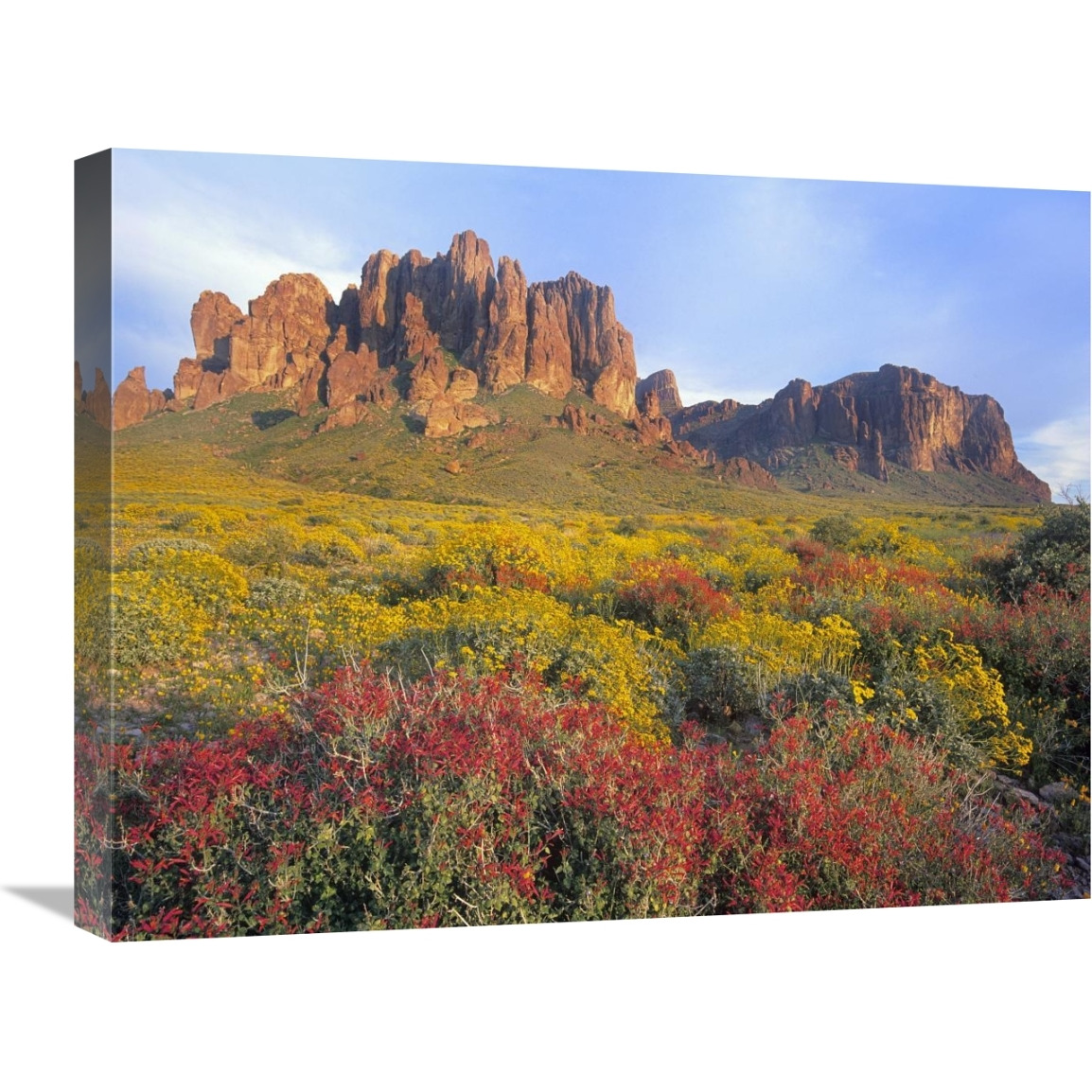 Chuparosa and Brittlebush Superstition Mountains, Arizona-Canvas Art-24&quotx18"