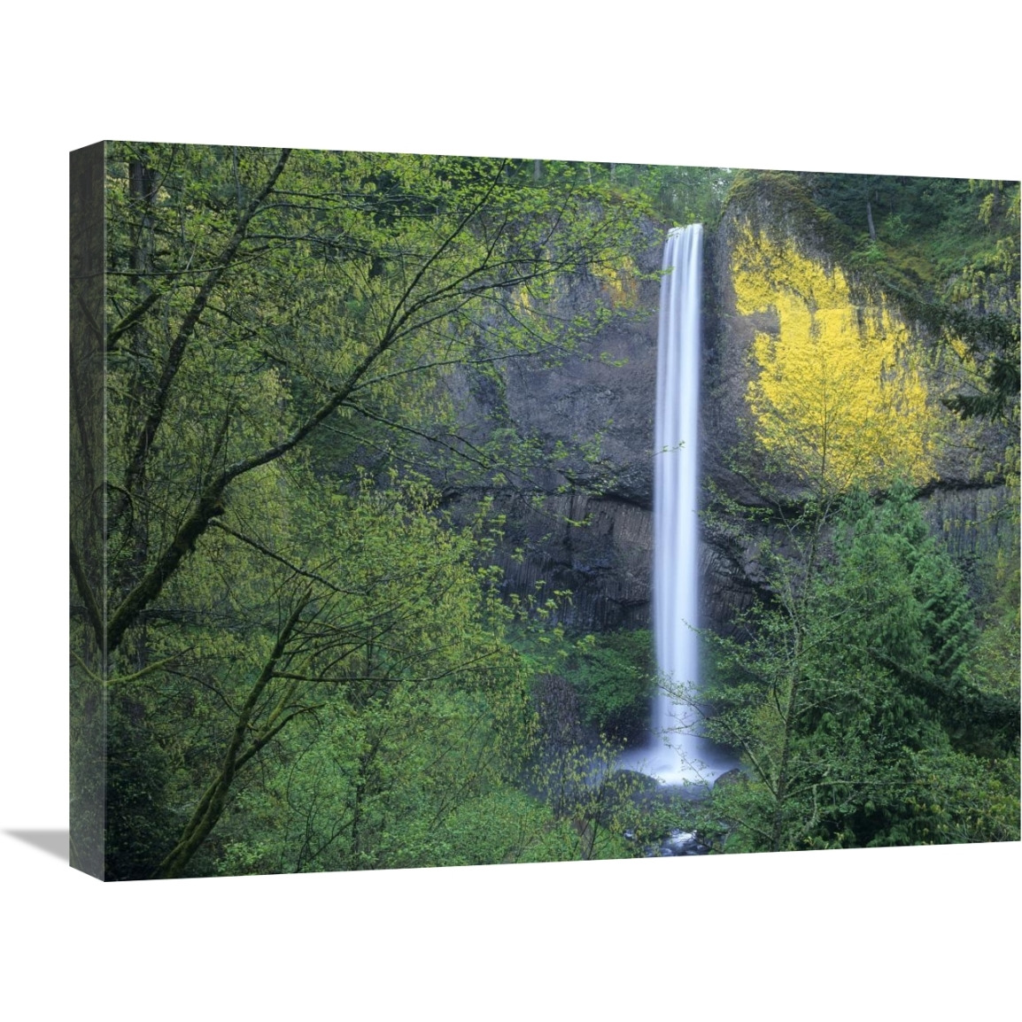 Latourell Falls, Columbia River Gorge near Portland, Oregon-Canvas Art-24&quotx18"