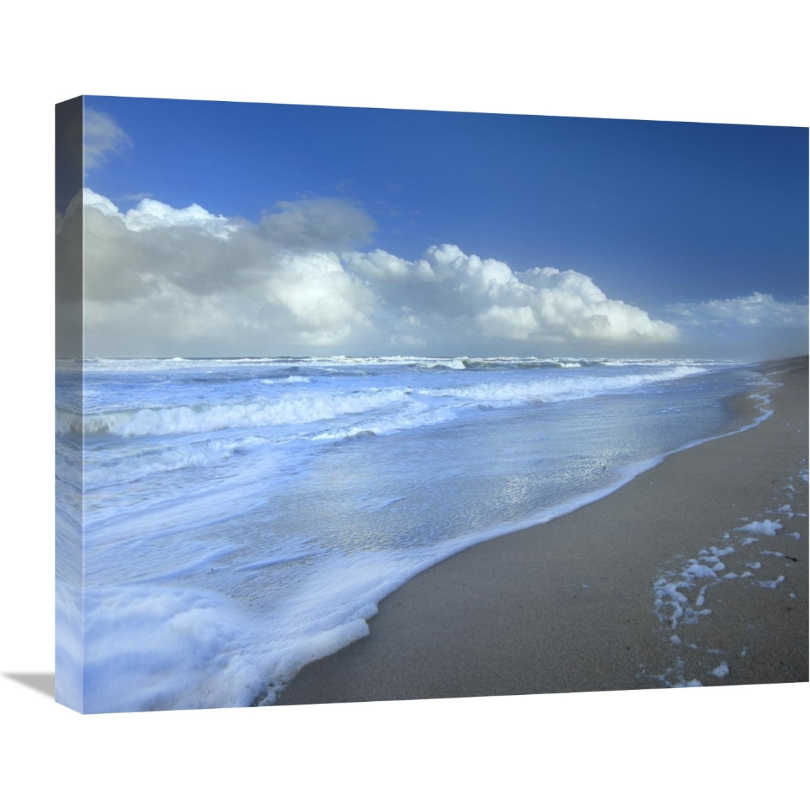 Storm cloud over beach, Canaveral National Seashore, Florida-Canvas Art-24&quotx20"