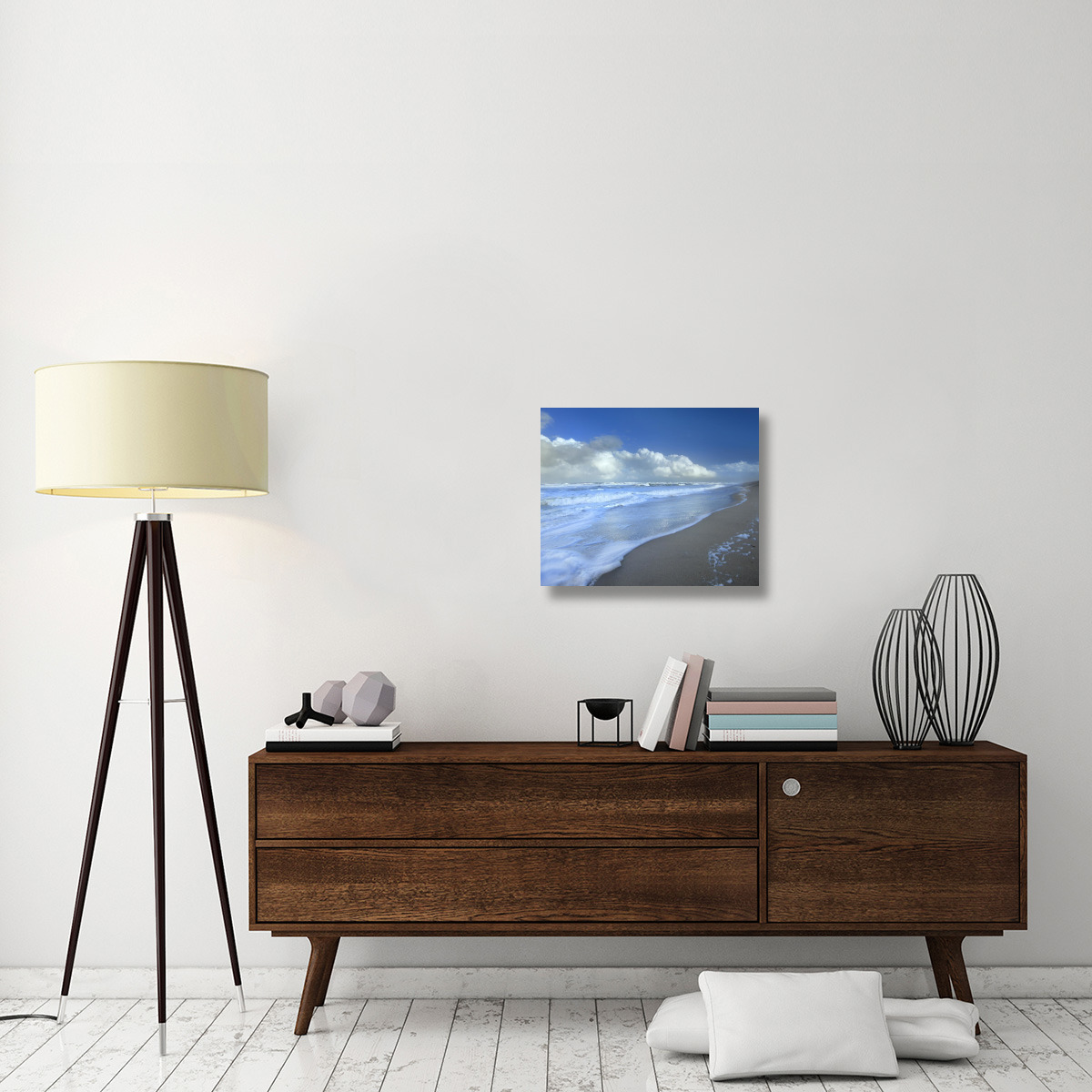 Storm cloud over beach, Canaveral National Seashore, Florida-Canvas Art-24&quotx20"