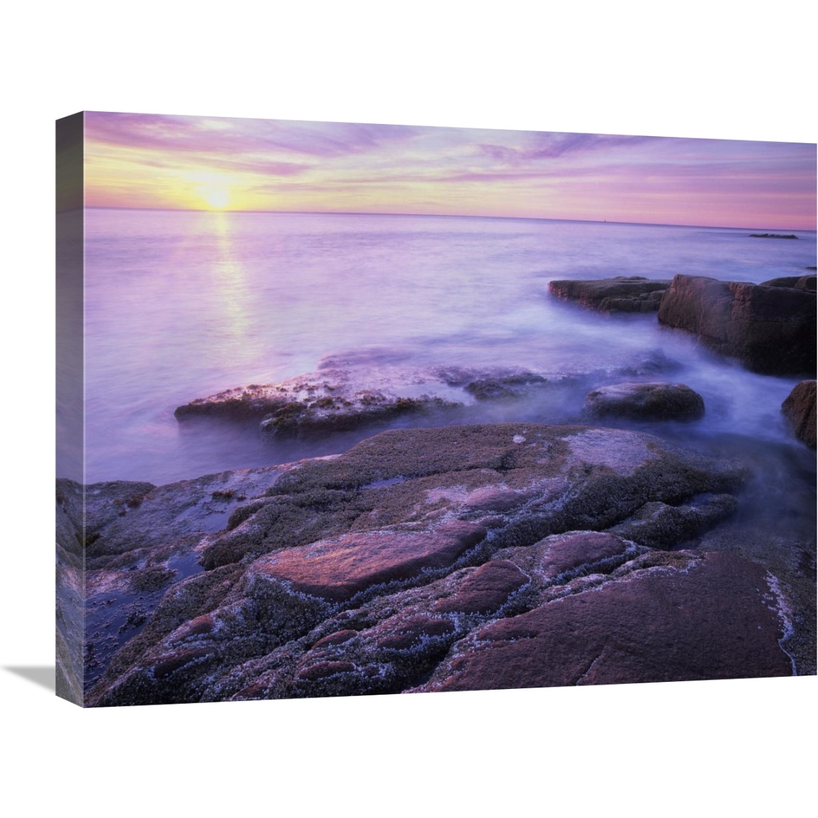 Atlantic coast near Thunder Hole, Acadia National Park, Maine-Canvas Art-24&quotx18"