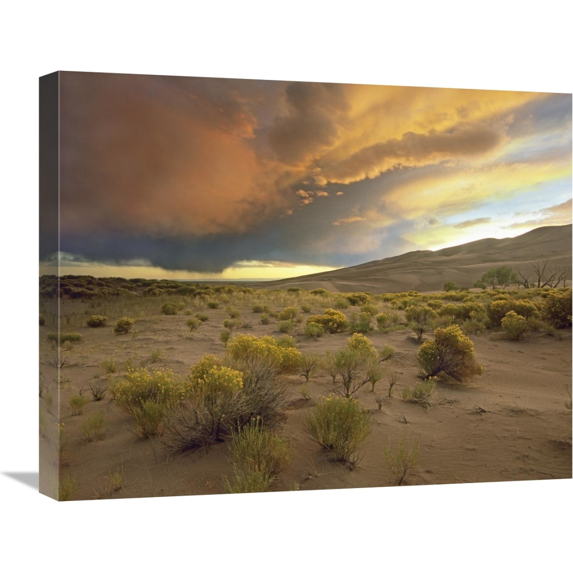 Storm clouds over Great Sand Dunes National Monument, Colorado-Canvas Art-24&quotx20"