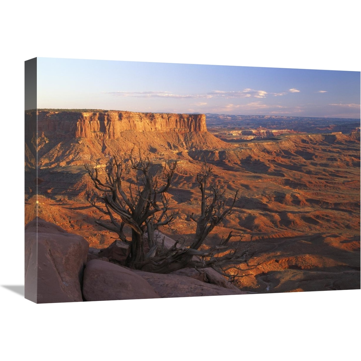 View from Green River overlook, Canyonlands National Park, Utah-Canvas Art-24&quotx18"