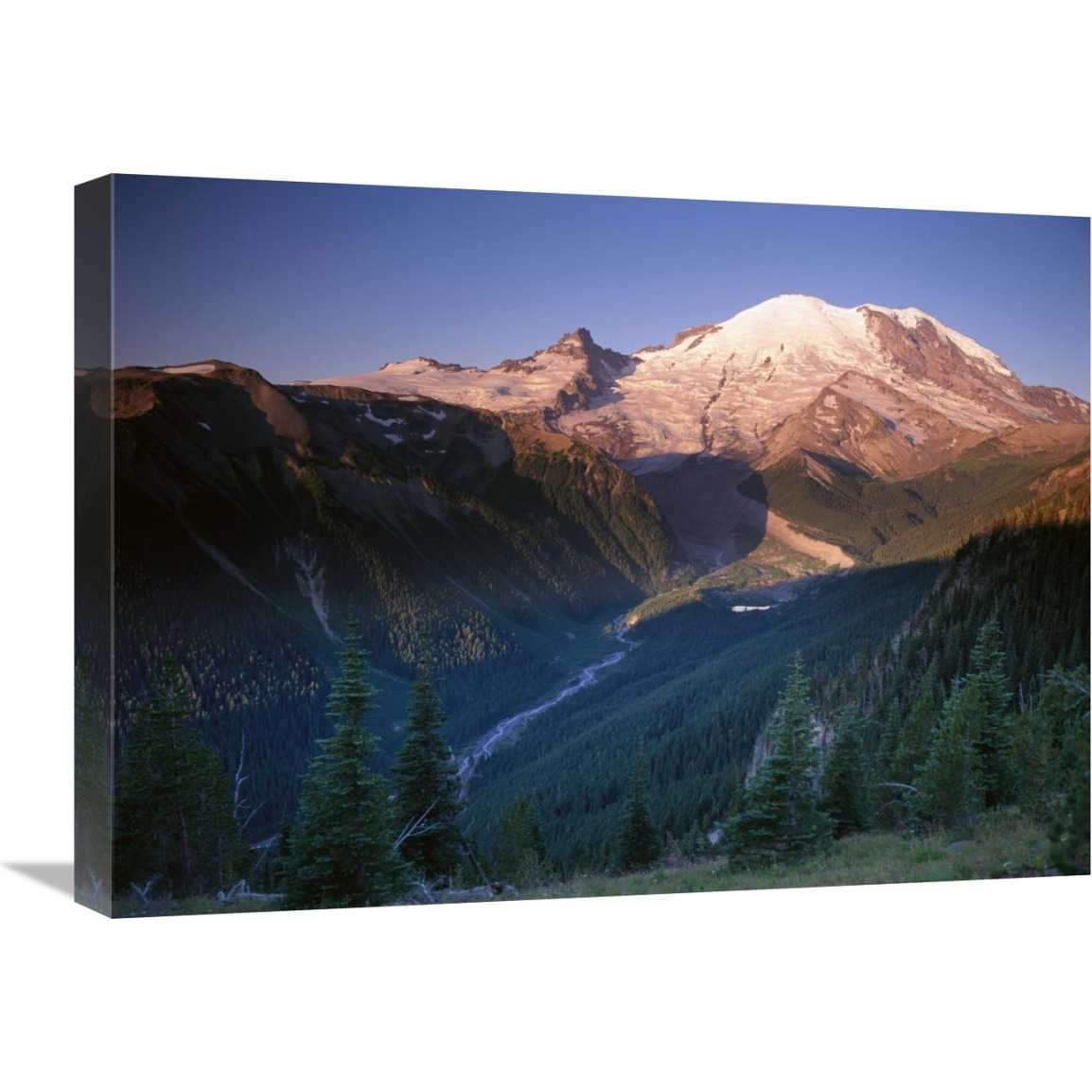 Mt Rainier seen at sunrise, Mt Rainier National Park, Washington-Canvas Art-24&quotx18"