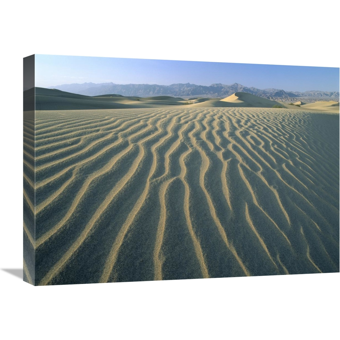 Mesquite Flat Sand Dunes, Death Valley National Park, California-Canvas Art-24&quotx18"