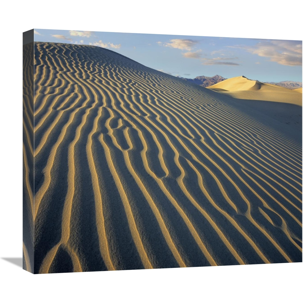Mesquite Flat Sand Dunes, Death Valley National Park, California-Canvas Art-22&quotx19.36"