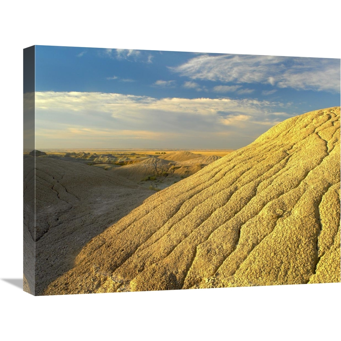 Detail of erosional feature, Badlands National Park, South Dakota-Canvas Art-24&quotx20"