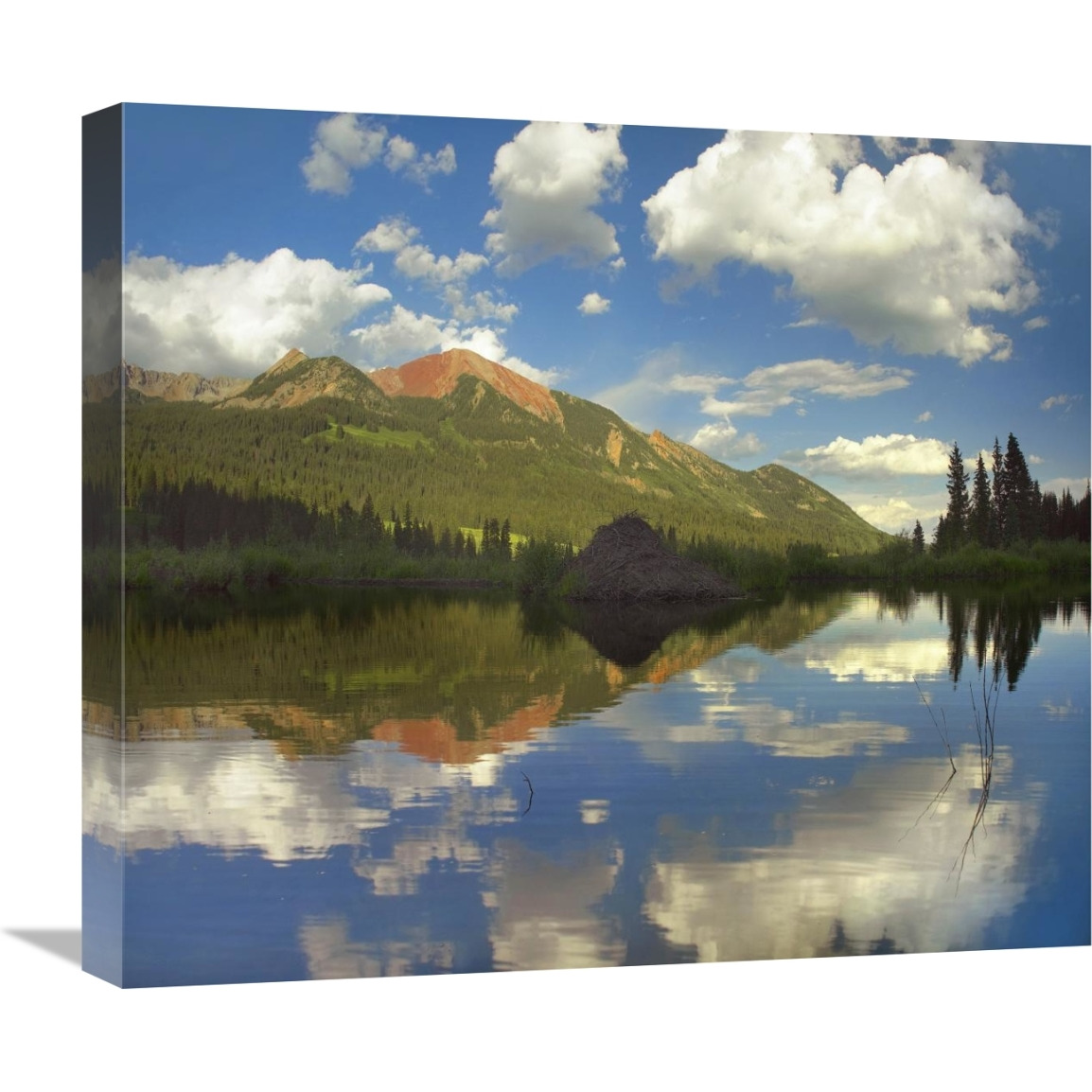 Avery Peak reflected in beaver pond, San Juan Mountains, Colorado-Canvas Art-22&quotx19.36"