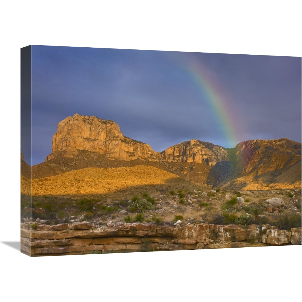 Rainbow near El Capitan, Guadalupe Mountains National Park, Texas-Canvas Art-24&quotx18"