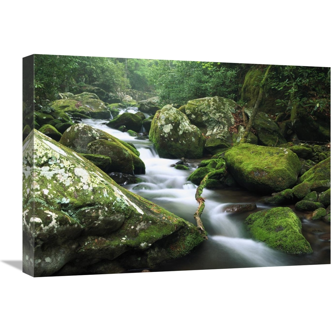 Roaring fork river, Great Smoky Mountains National Park, Tennessee-Canvas Art-24&quotx18"