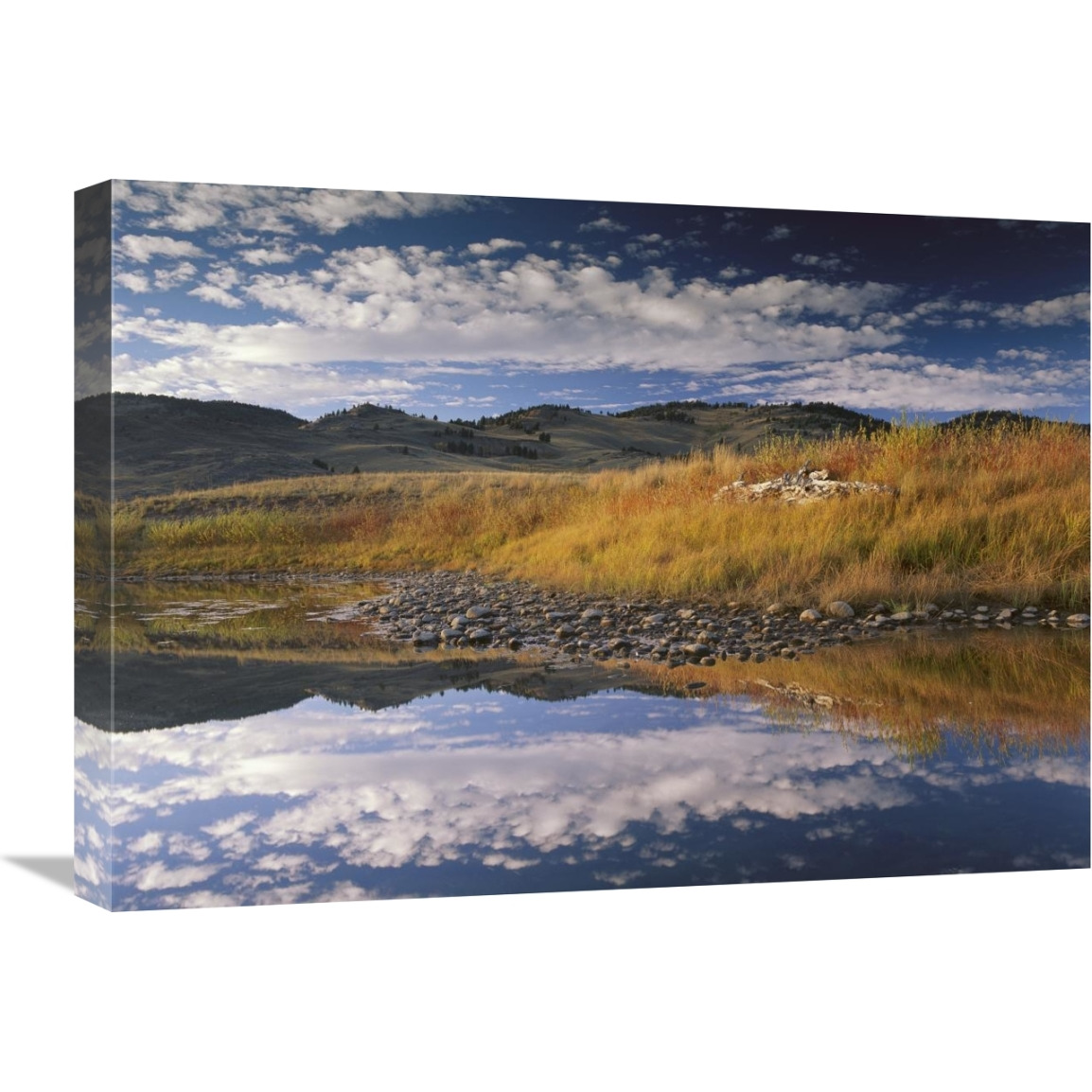 Absaroka Range and Slough Creek, Yellowstone National Park, Wyoming-Canvas Art-24&quotx18"