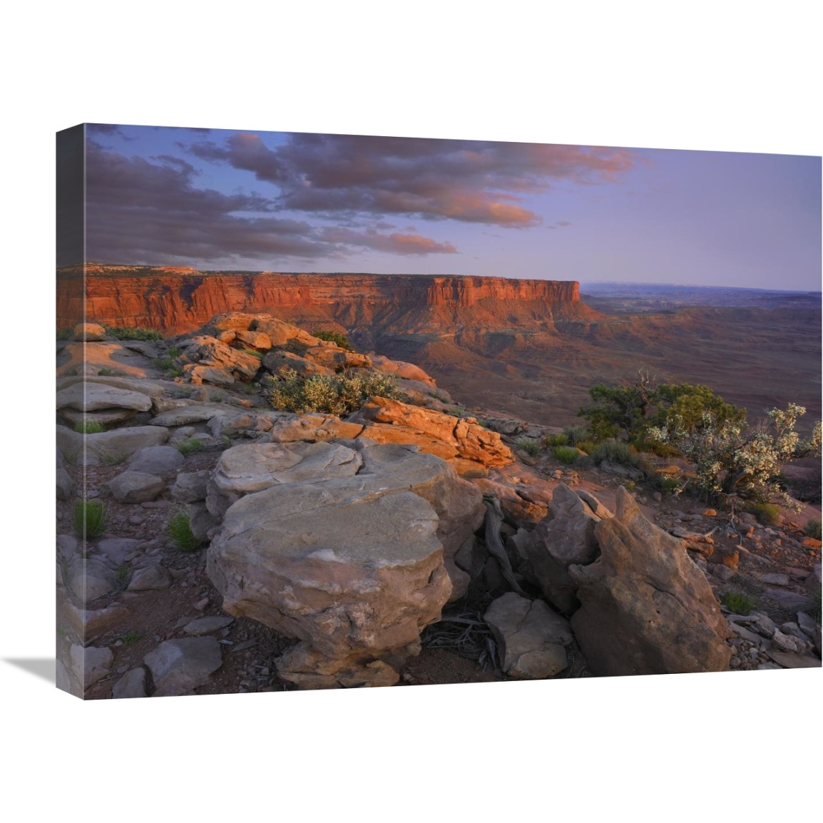 View from the Green River Overlook, Canyonlands National Park, Utah-Canvas Art-24&quotx18"
