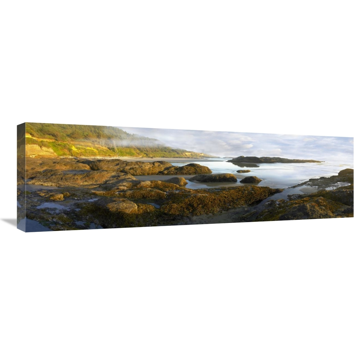 Panorama of Neptune Beach with exposed tide pools at low tide, Oregon-Canvas Art-36&quotx12"
