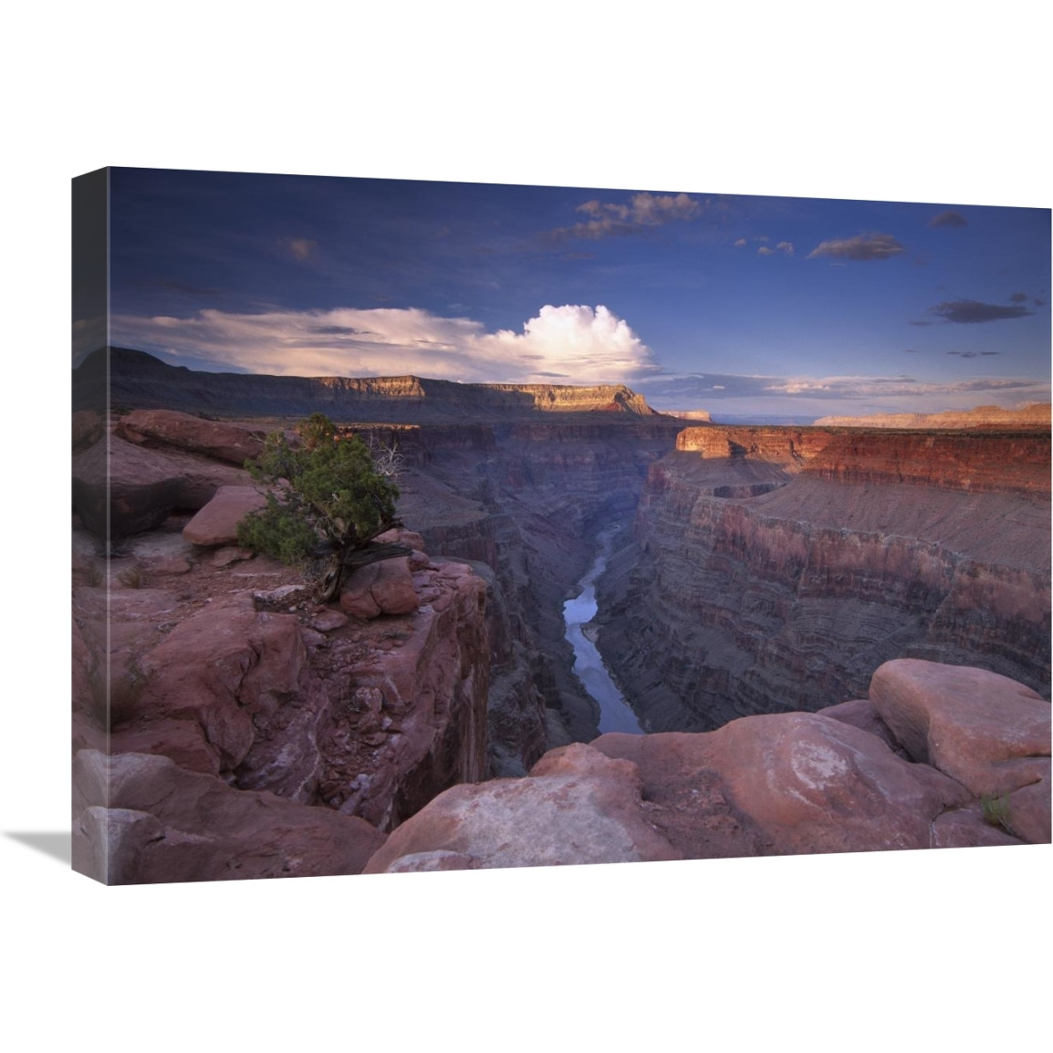 Colorado River from Toroweap Overlook, Grand Canyon National Park, Arizona-Canvas Art-24&quotx18"