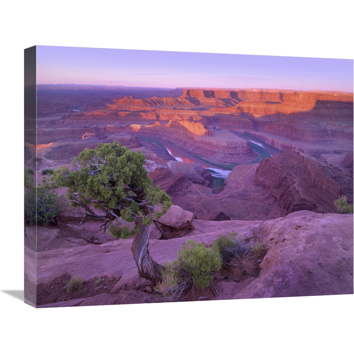 Colorado River flowing through canyons of Dead Horse Point State Park, Utah-Canvas Art-24&quotx20"