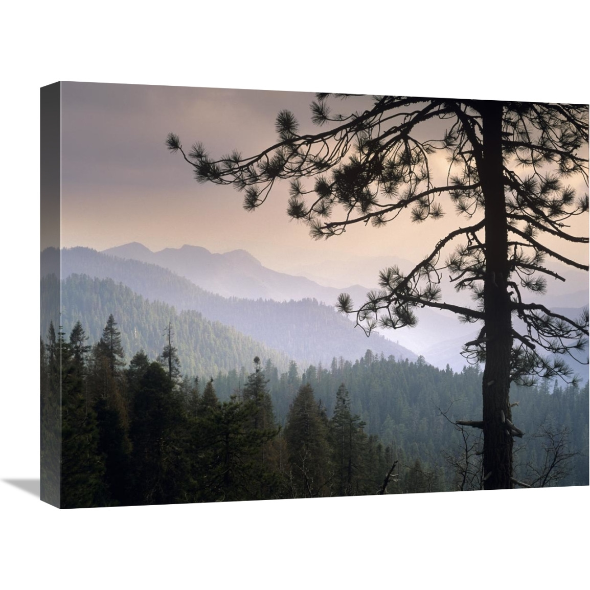 View over foothills to the west from Kings Canyon National Park, California-Canvas Art-24&quotx18"