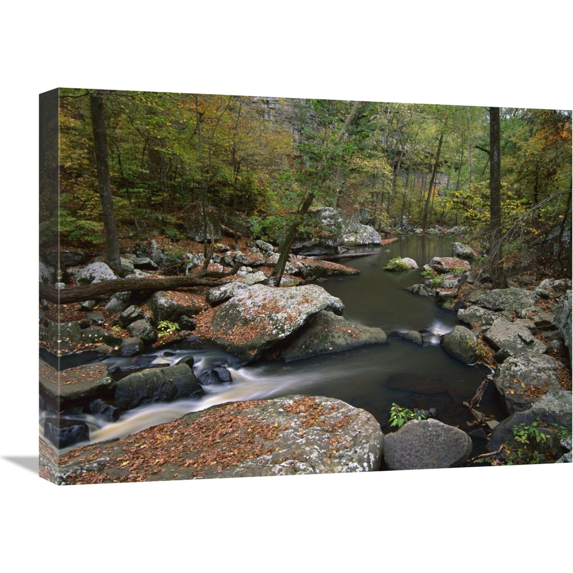 Cedar Creek flowing through deciduous forest, Petit Jean State Park, Arkansas-Canvas Art-24&quotx18"