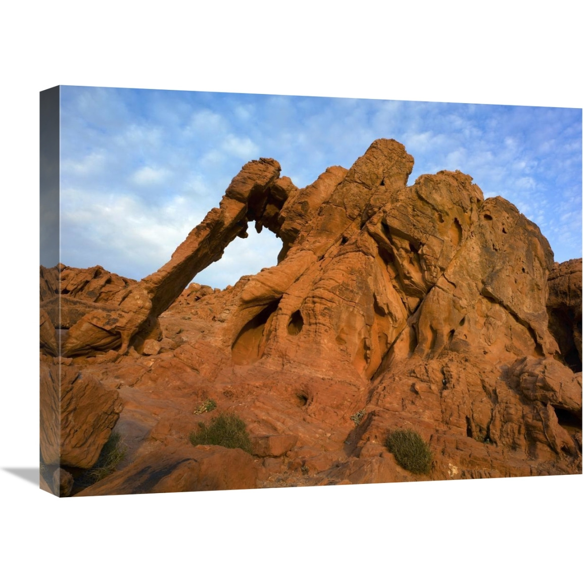 Elephant Rock, a unique sandstone formation, Valley of Fire State Park, Nevada-Canvas Art-24&quotx18"