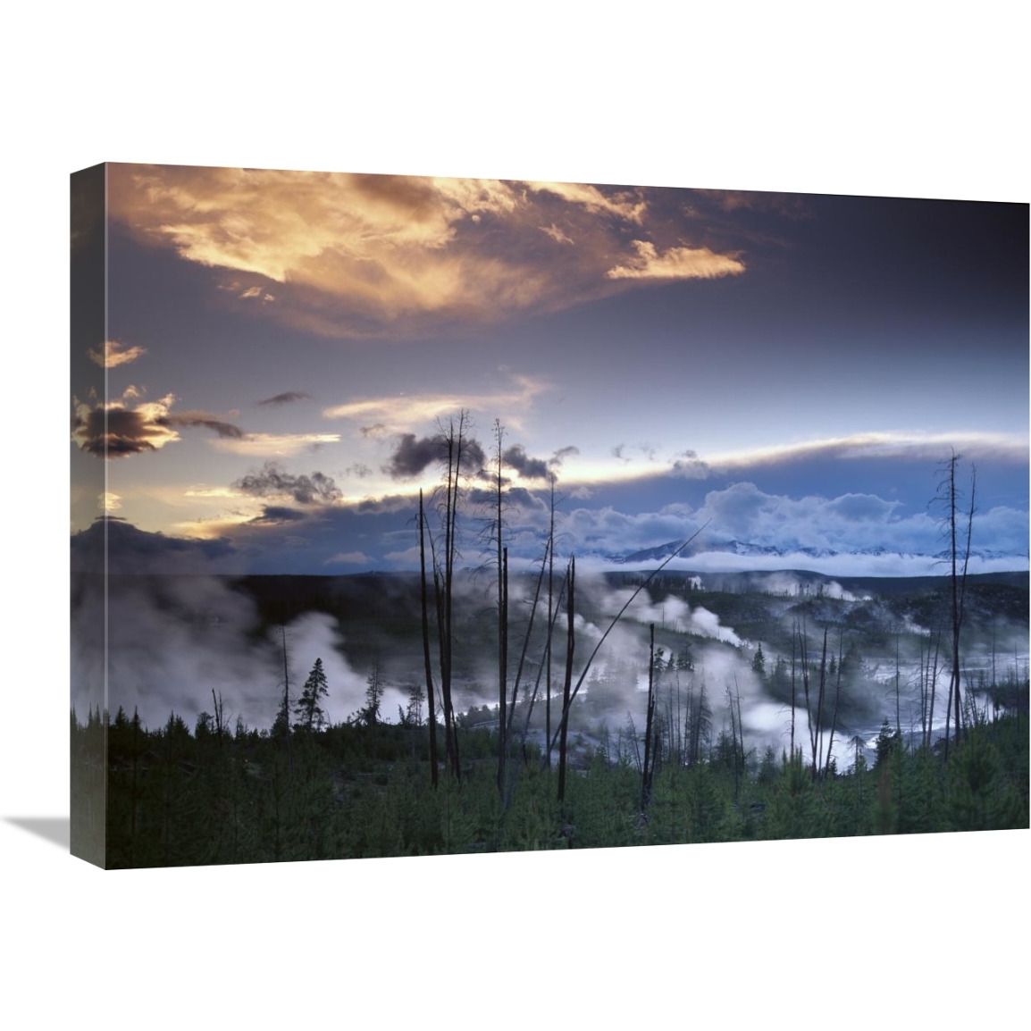 Norris Geyser basin with steam plumes from geysers, Yellowstone National Park, Wyoming-Canvas Art-24&quotx18"