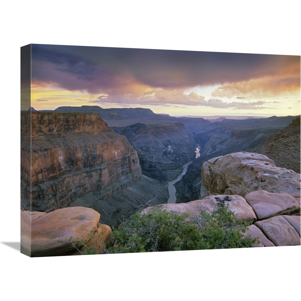 Toroweap Overlook with a view of the Colorado River, Grand Canyon National Park, Arizona-Canvas Art-24&quotx18"