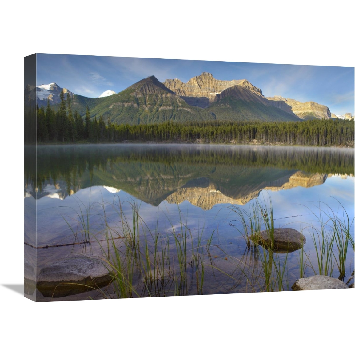 Bow Range and boreal forest reflected in Herbert Lake, Banff National Park, Alberta, Canada-Canvas Art-24&quotx18"