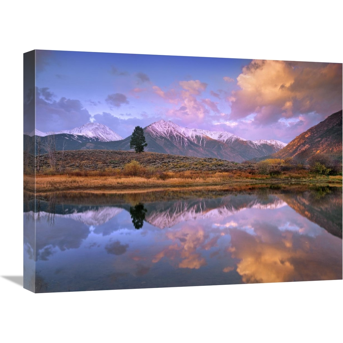 La Plata and Twin Peaks in the Sawatch Range reflected in Twin Lakes with a lone tree, Colorado-Canvas Art-24&quotx18"