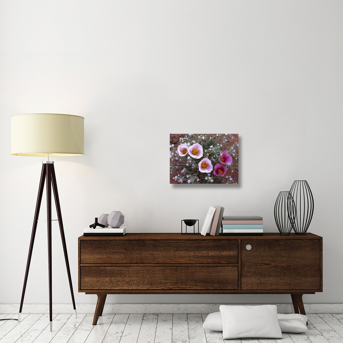Sego Lily group, state flower of Utah with bulbous edible root, Canyonlands National Park, Utah-Canvas Art-24&quotx18"