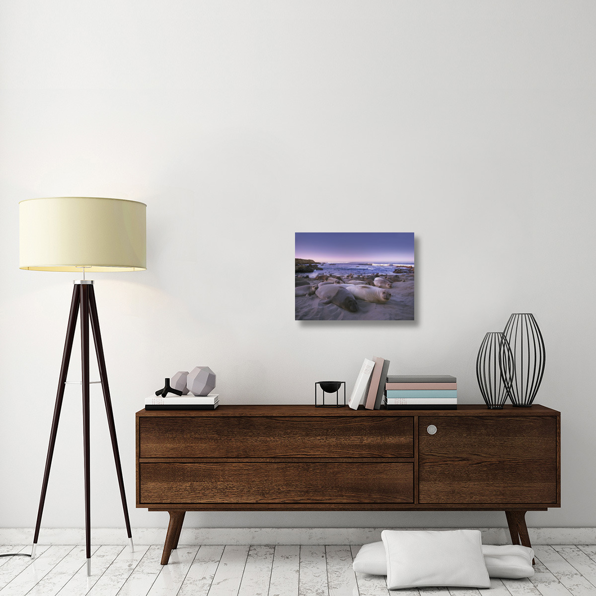 Northern Elephant Seal juveniles laying on the beach, Point Piedras Blancas, Big Sur, California-Canvas Art-24&quotx18"