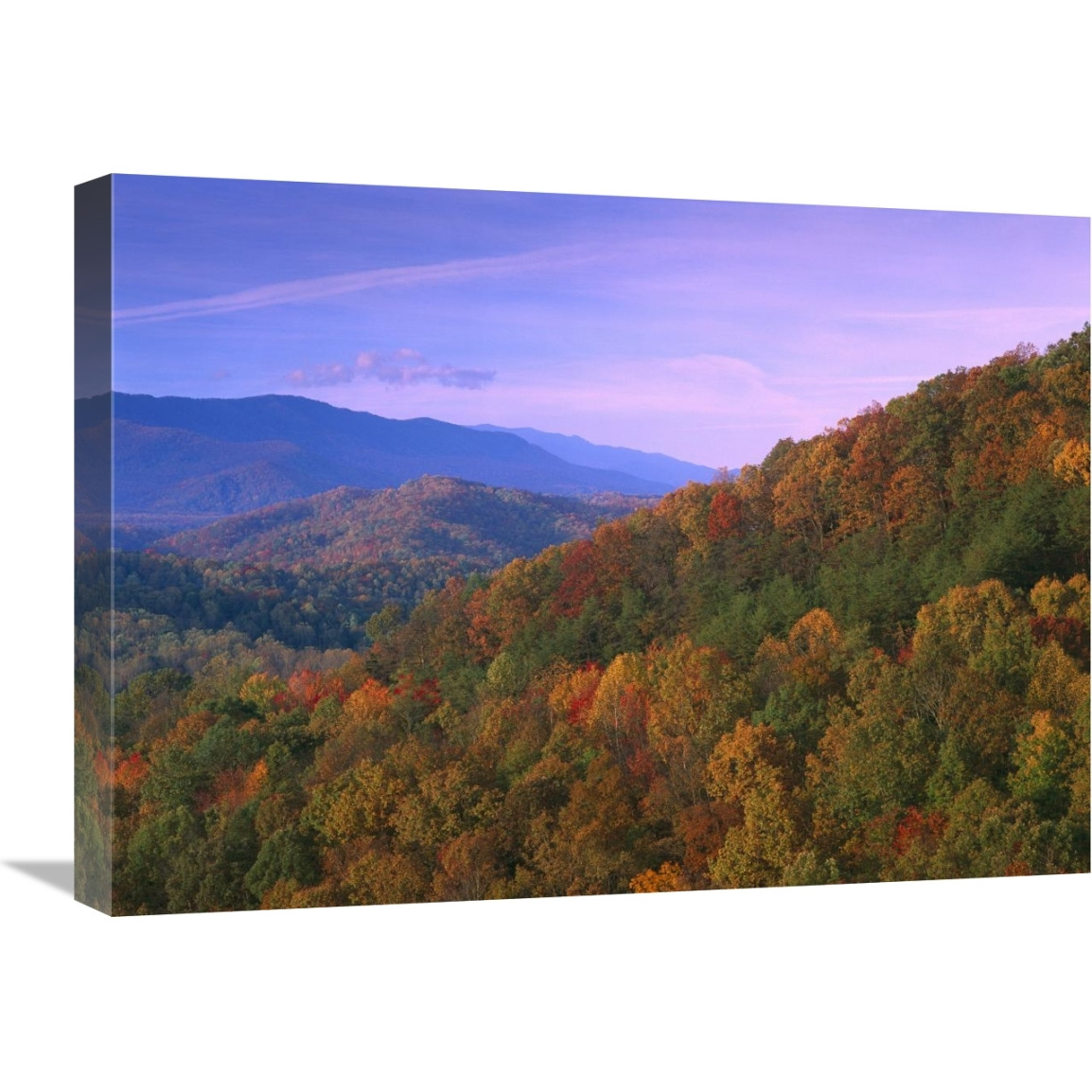 Appalachian Mountains ablaze with fall color, Great Smoky Mountains National Park, North Carolina-Canvas Art-24&quotx18"