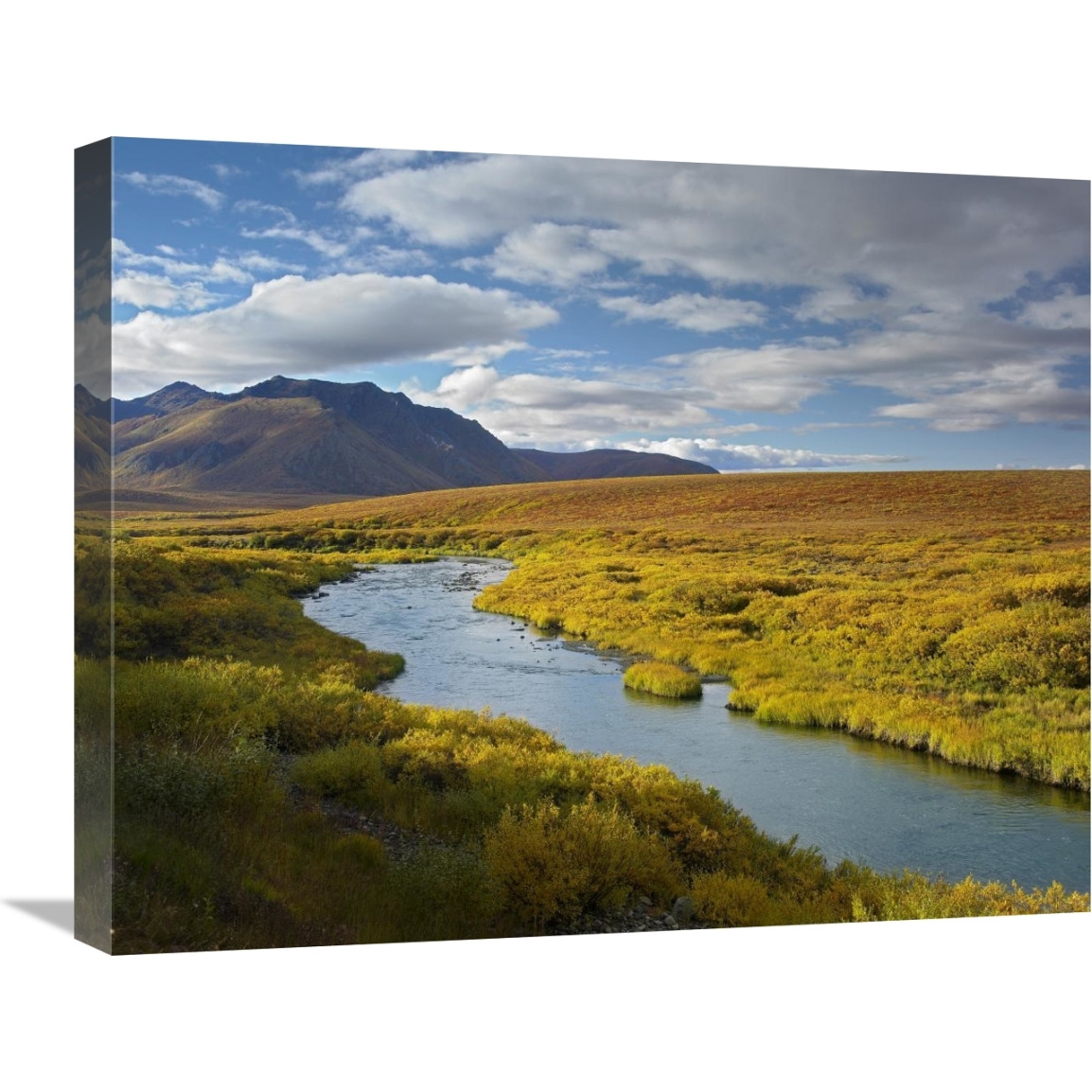 North Klondike River flowing through tundra beneath the Ogilvie Mountains, Yukon Territory, Canada-Canvas Art-24&quotx20"
