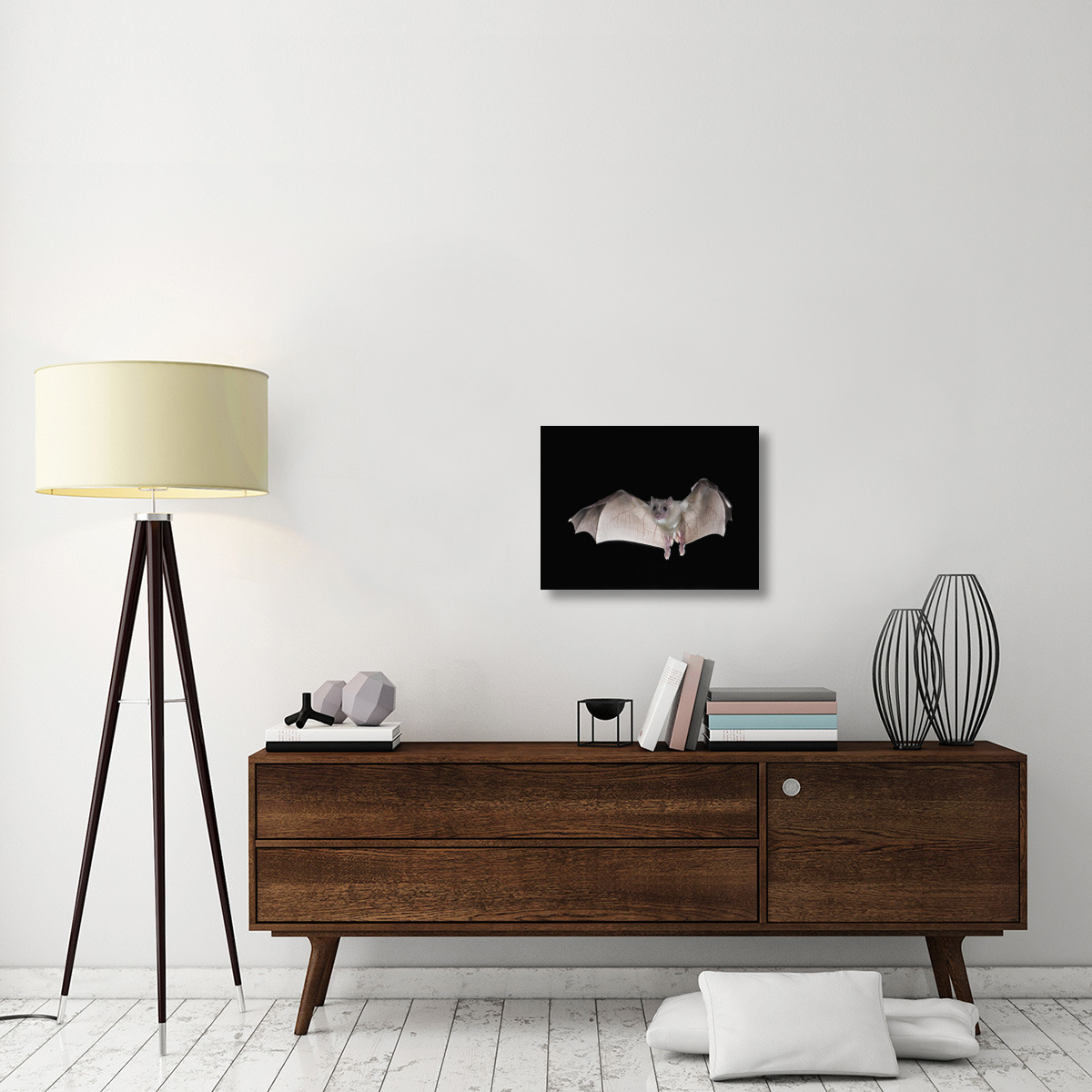 Egyptian Fruit Bat flying, Michigan-Canvas Art-24&quotx18"
