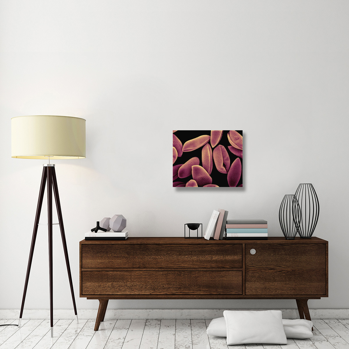Common Hyacinth (Hyacinthus orientalis) pollen at 700x magnification-Canvas Art-24&quotx20"